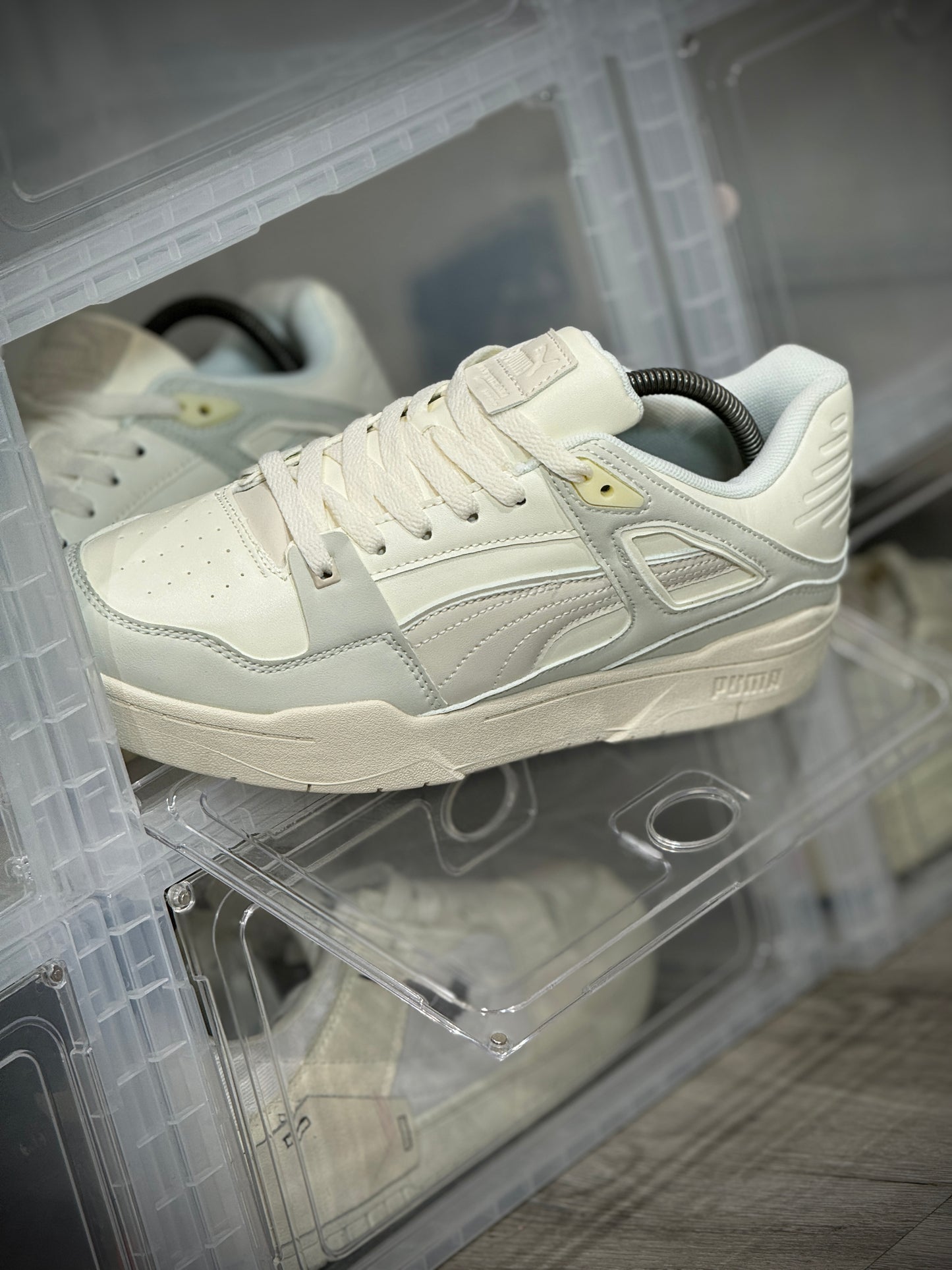 Puma