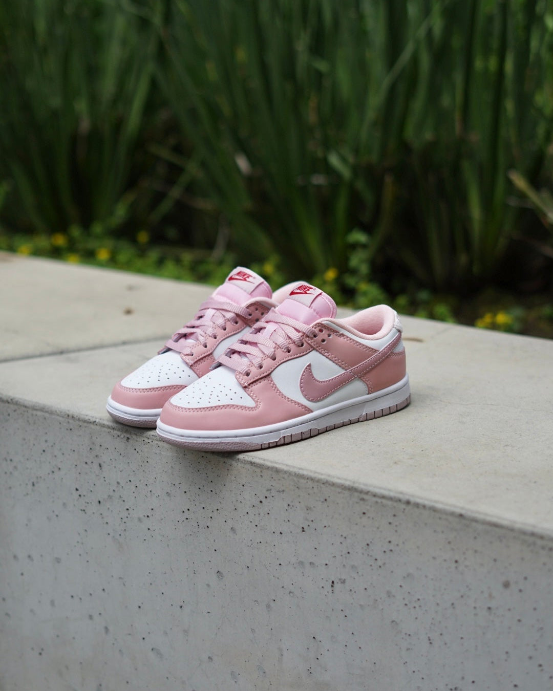 Sb dunk Low pink