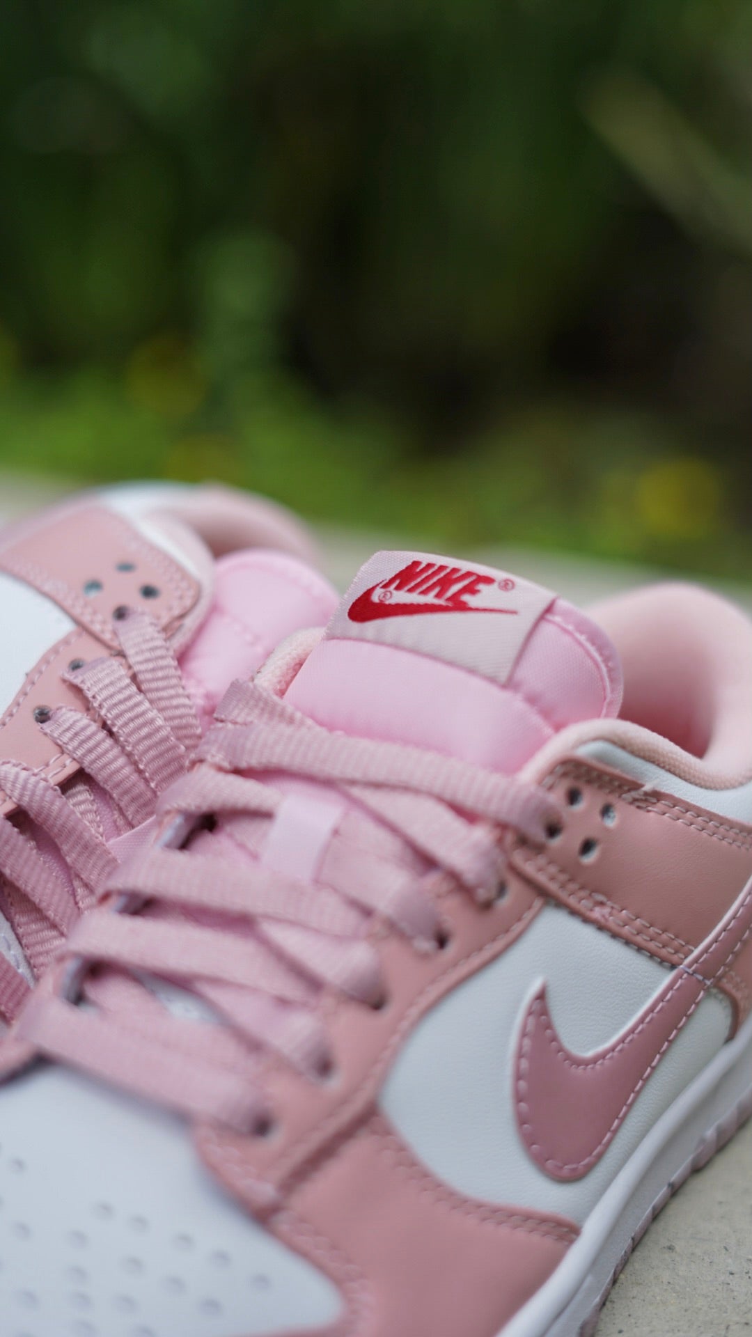 Sb dunk Low pink