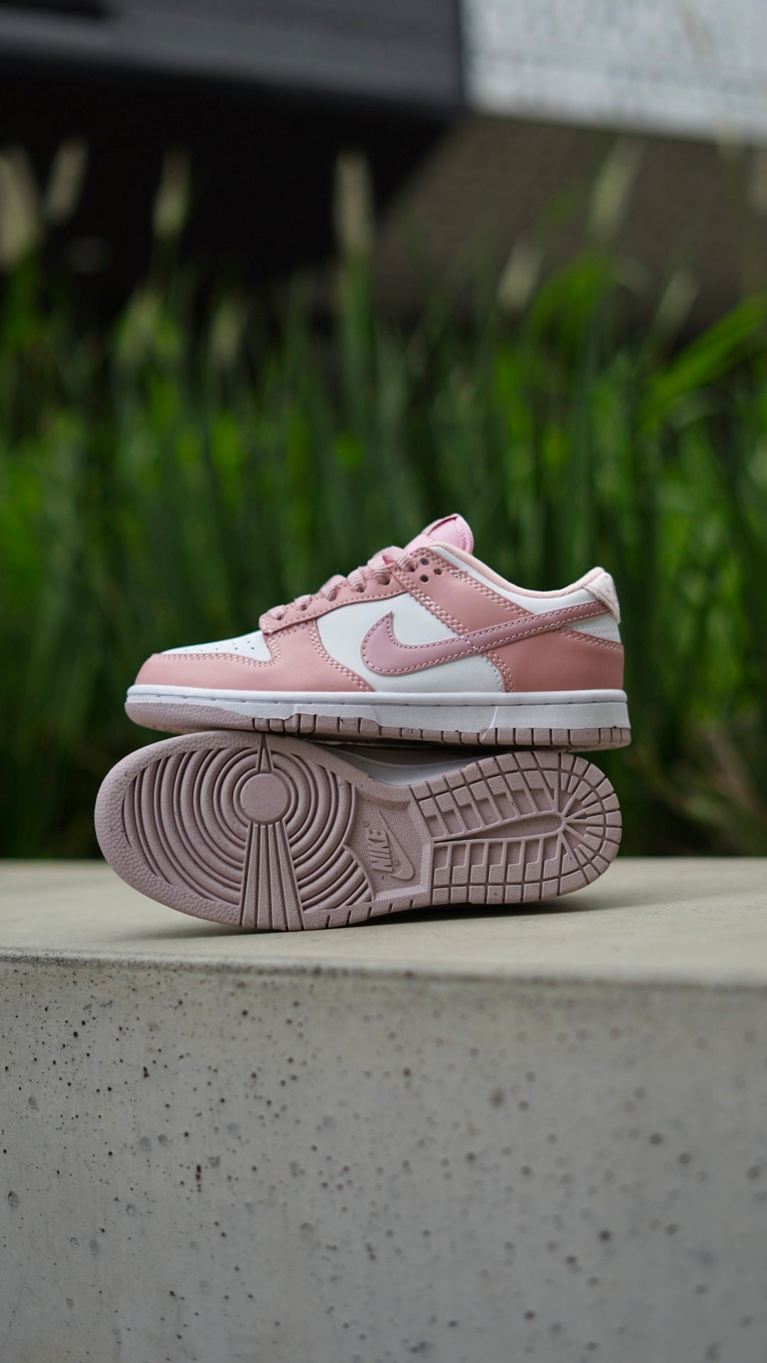 Sb dunk Low pink