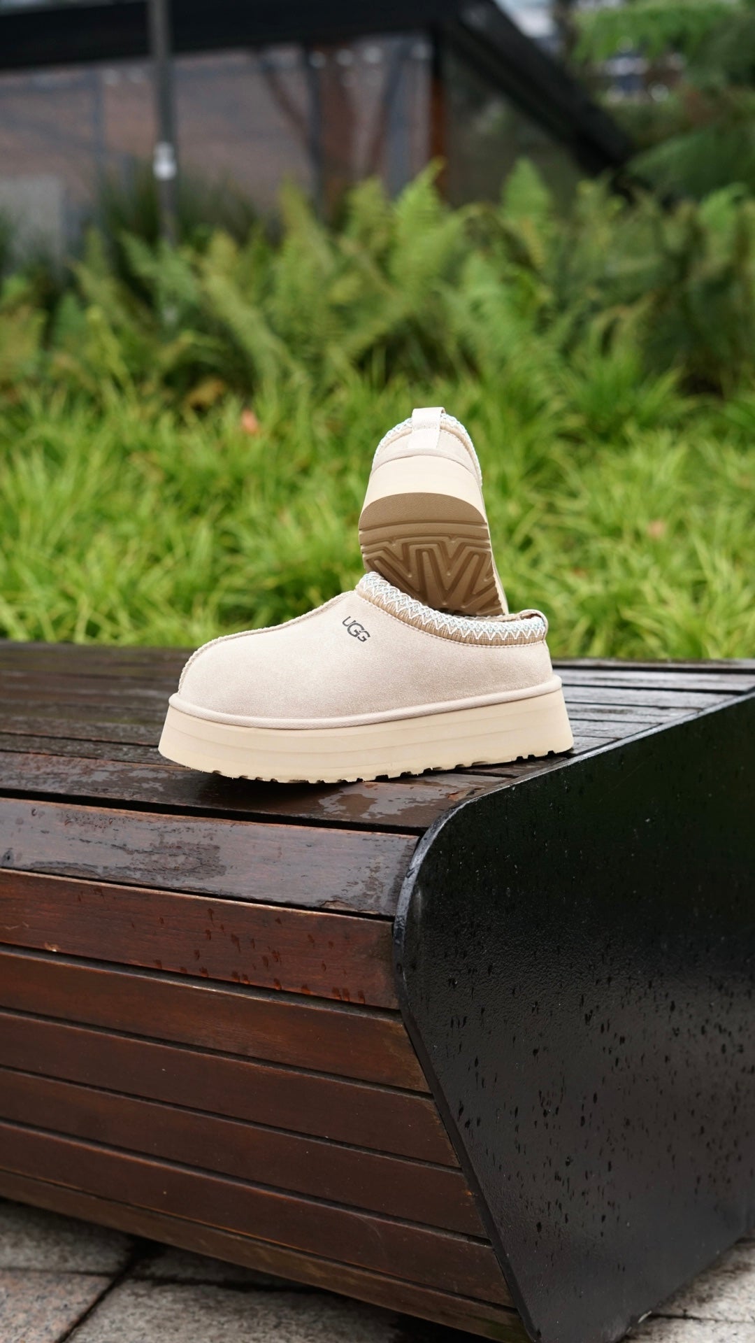 UGG tazz slipper beige