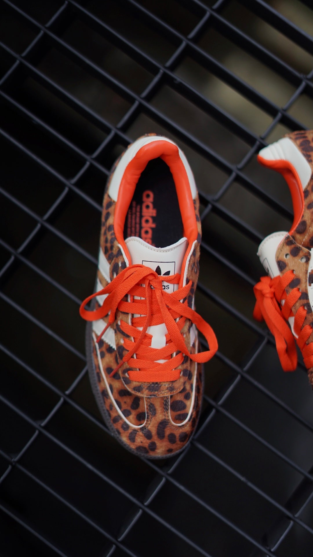 Adidas Samba Leopardo