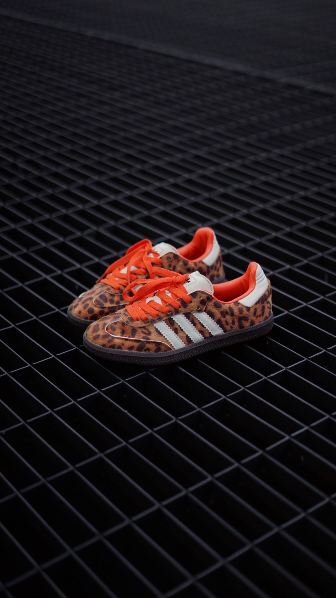 Adidas Samba Leopardo