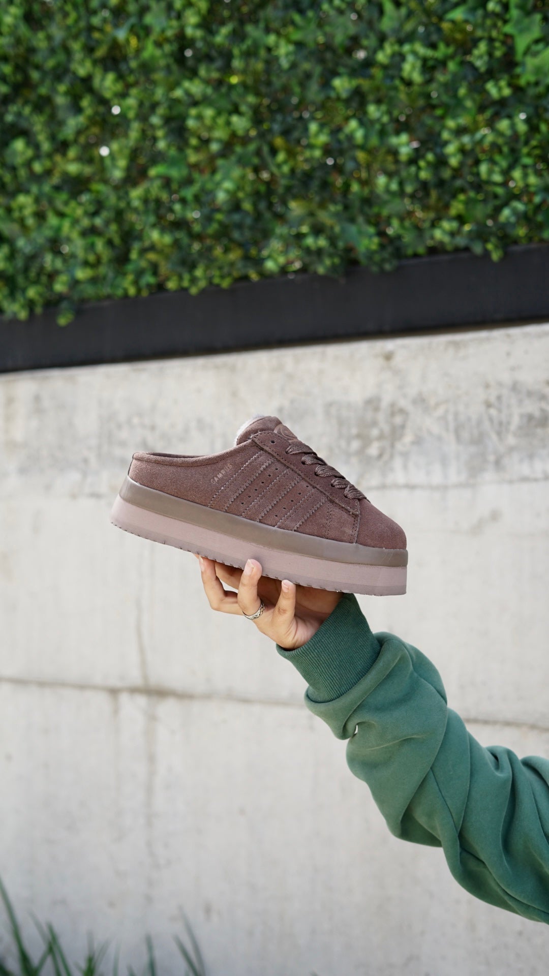 Adidas campus 00s pantuflas cafe
