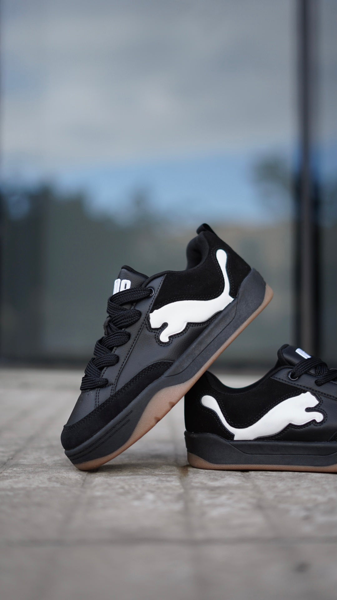 Puma Park