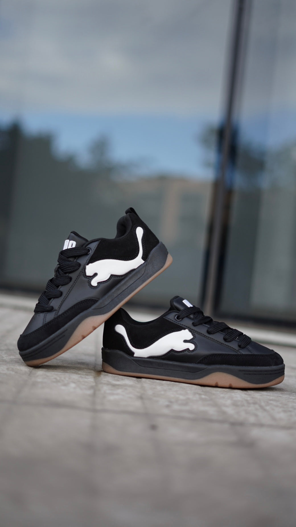 Puma Park