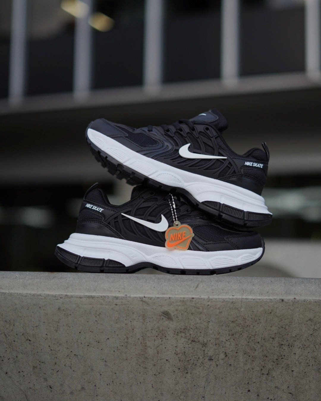 Nike Skate Negra
