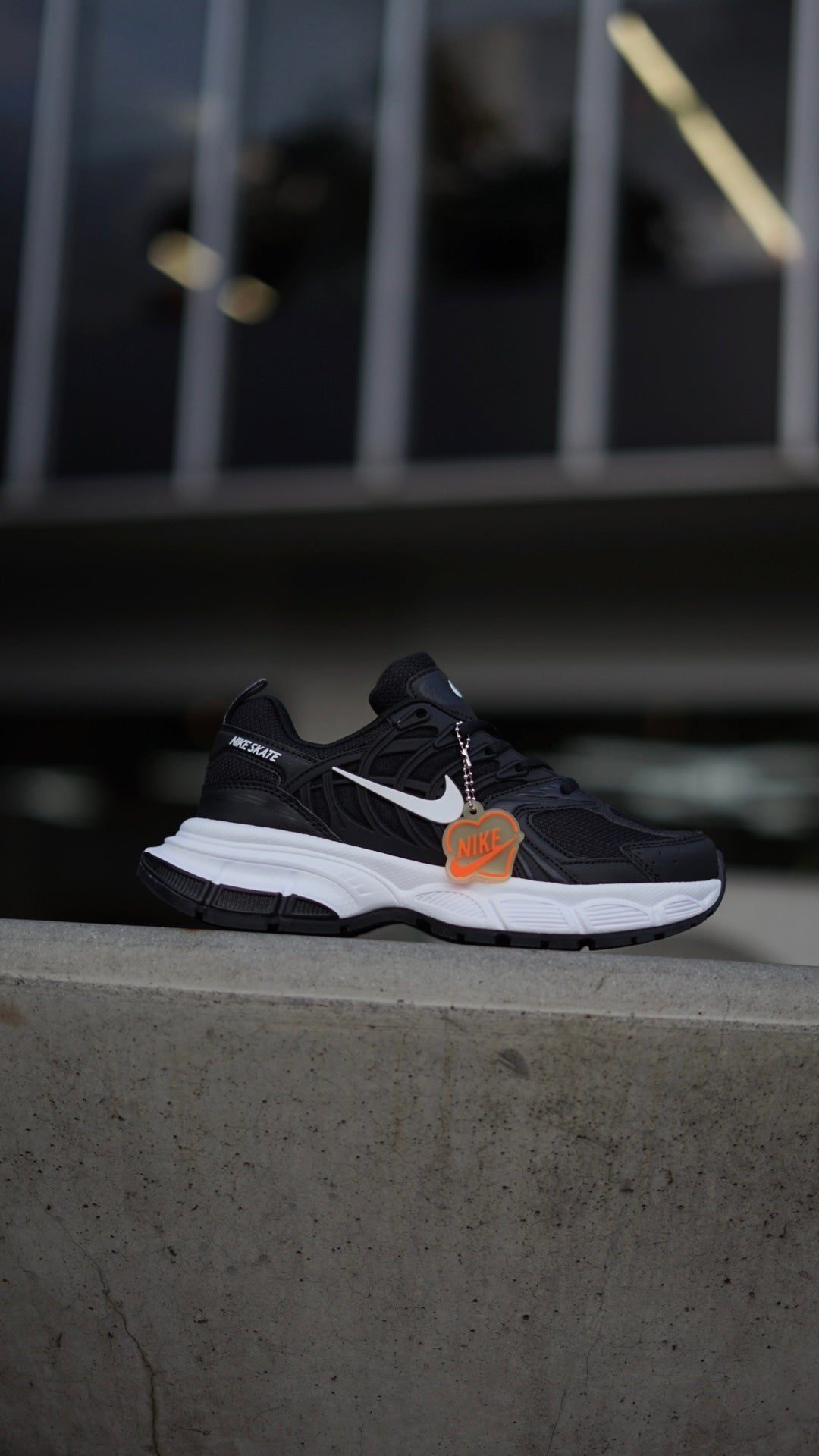 Nike Skate Negra