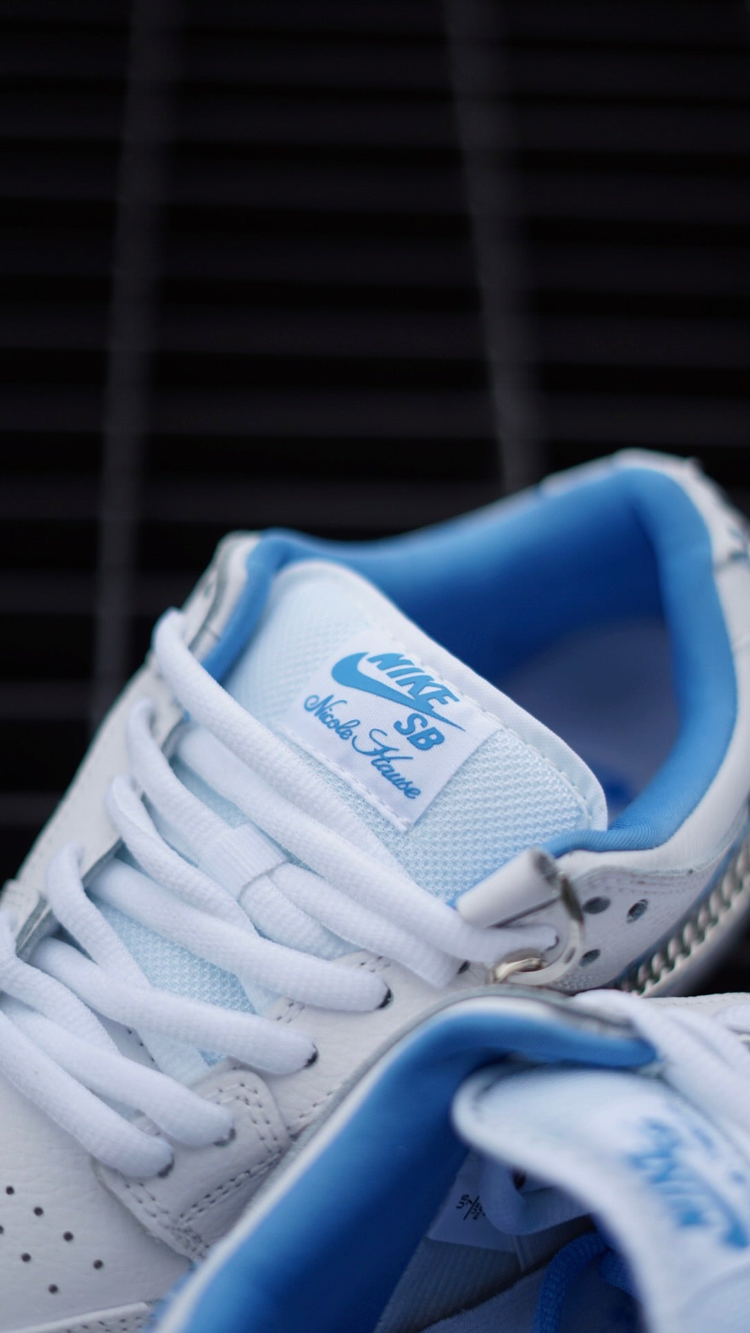 Sb Dunk Low Pro x Nicole Hause