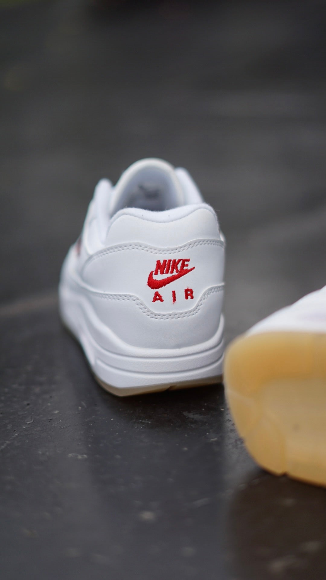 Air Max 1 Premium Jewel