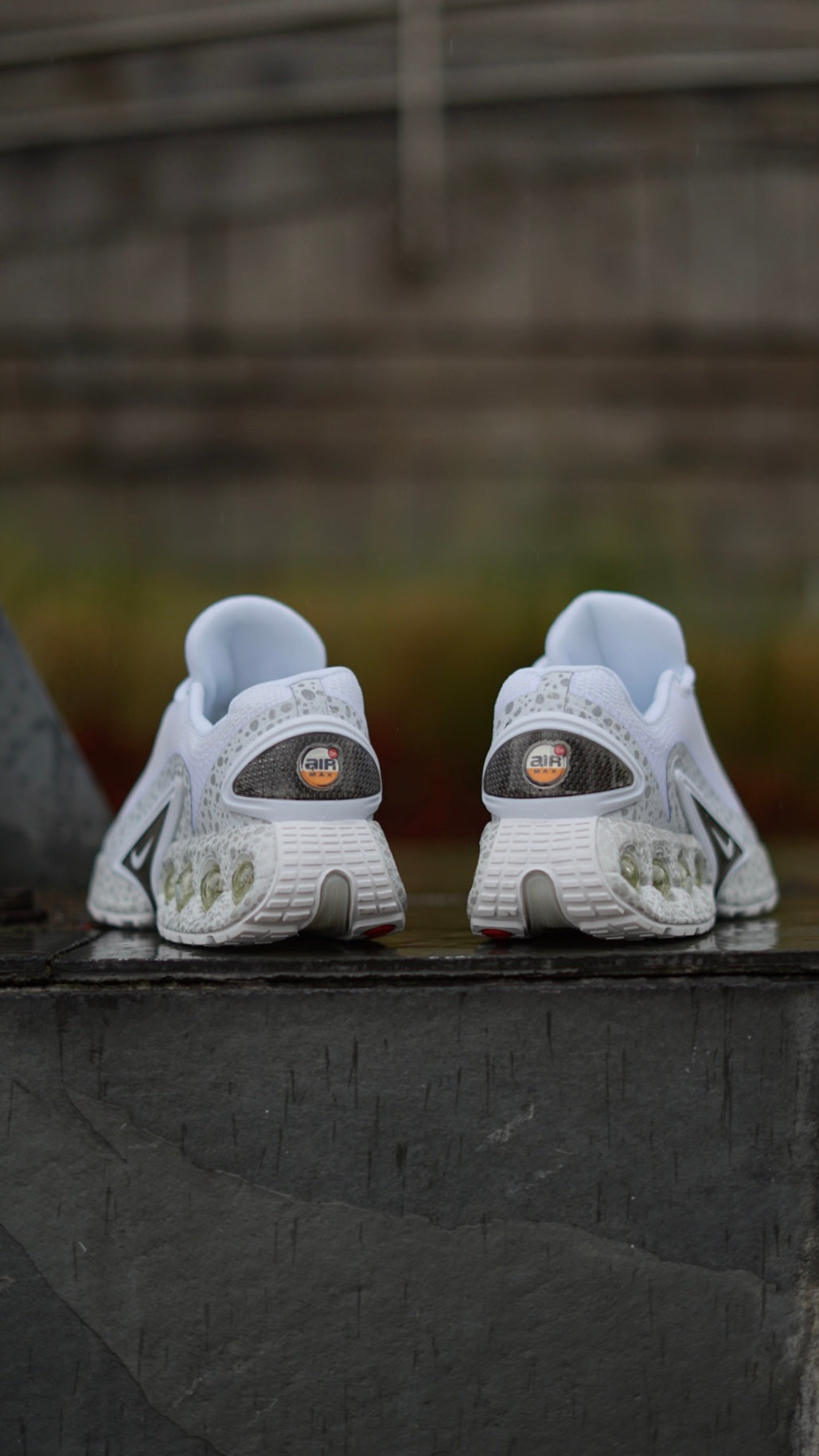 Air Max Dn Blanca