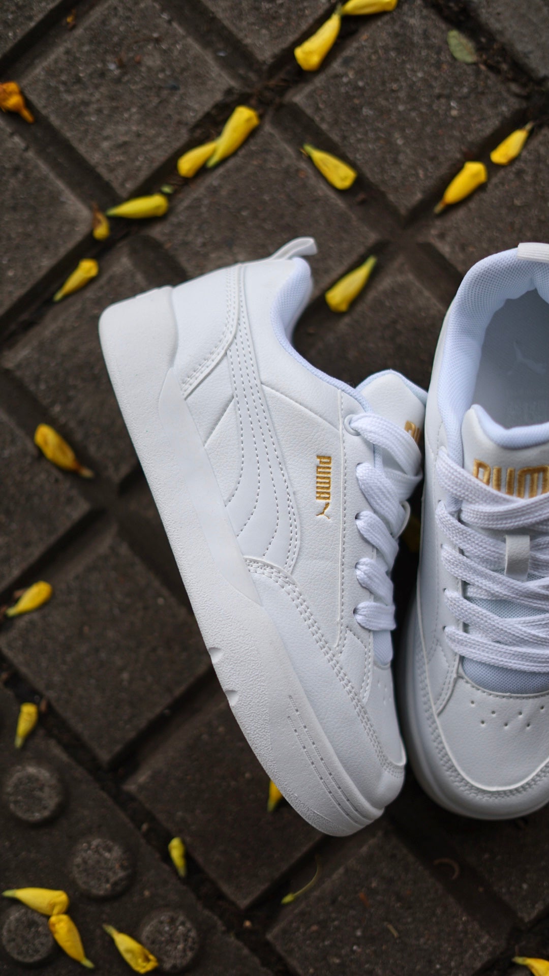 Puma Park Blanca