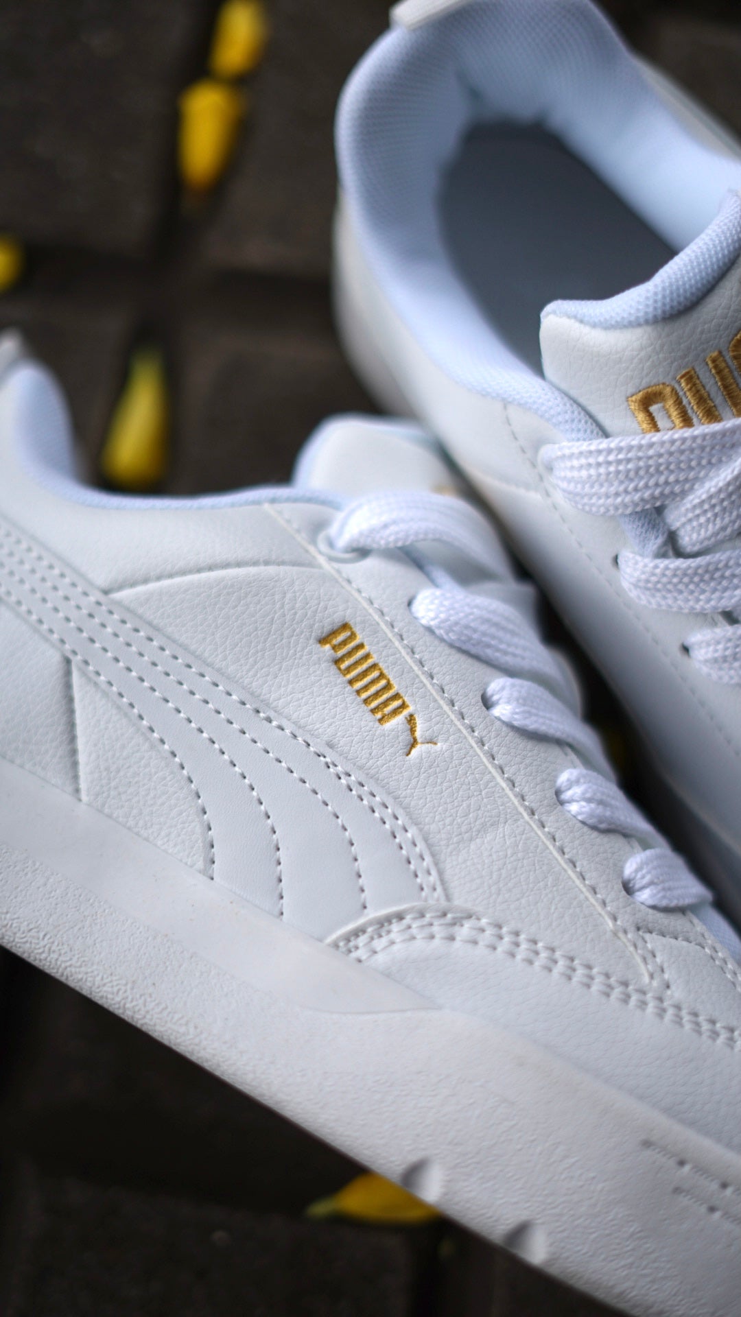Puma Park Blanca