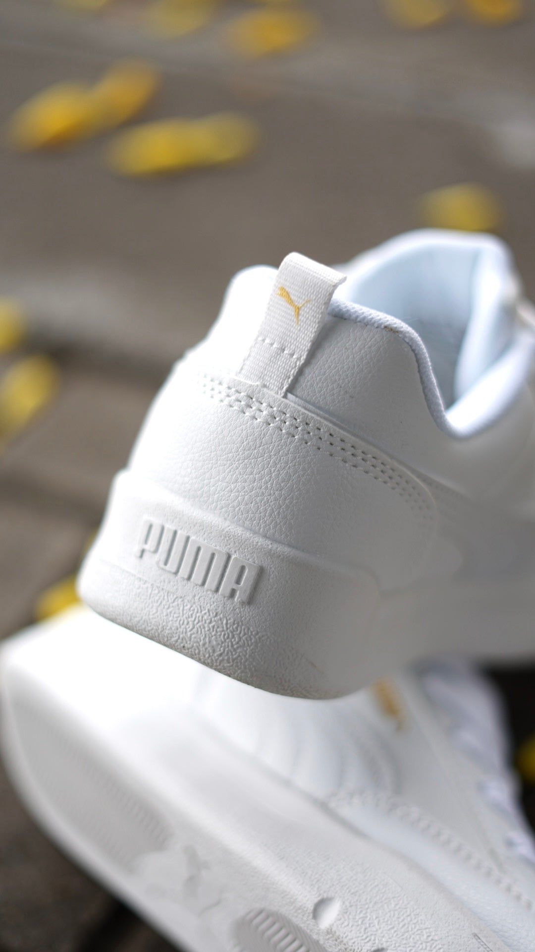 Puma Park Blanca