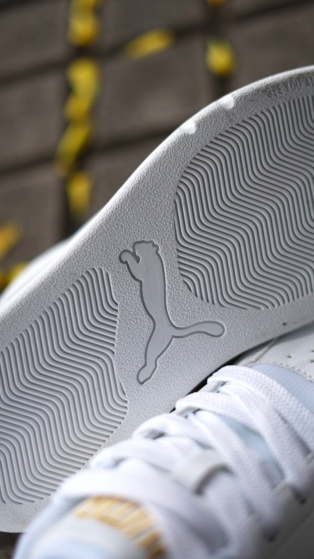 Puma Park Blanca