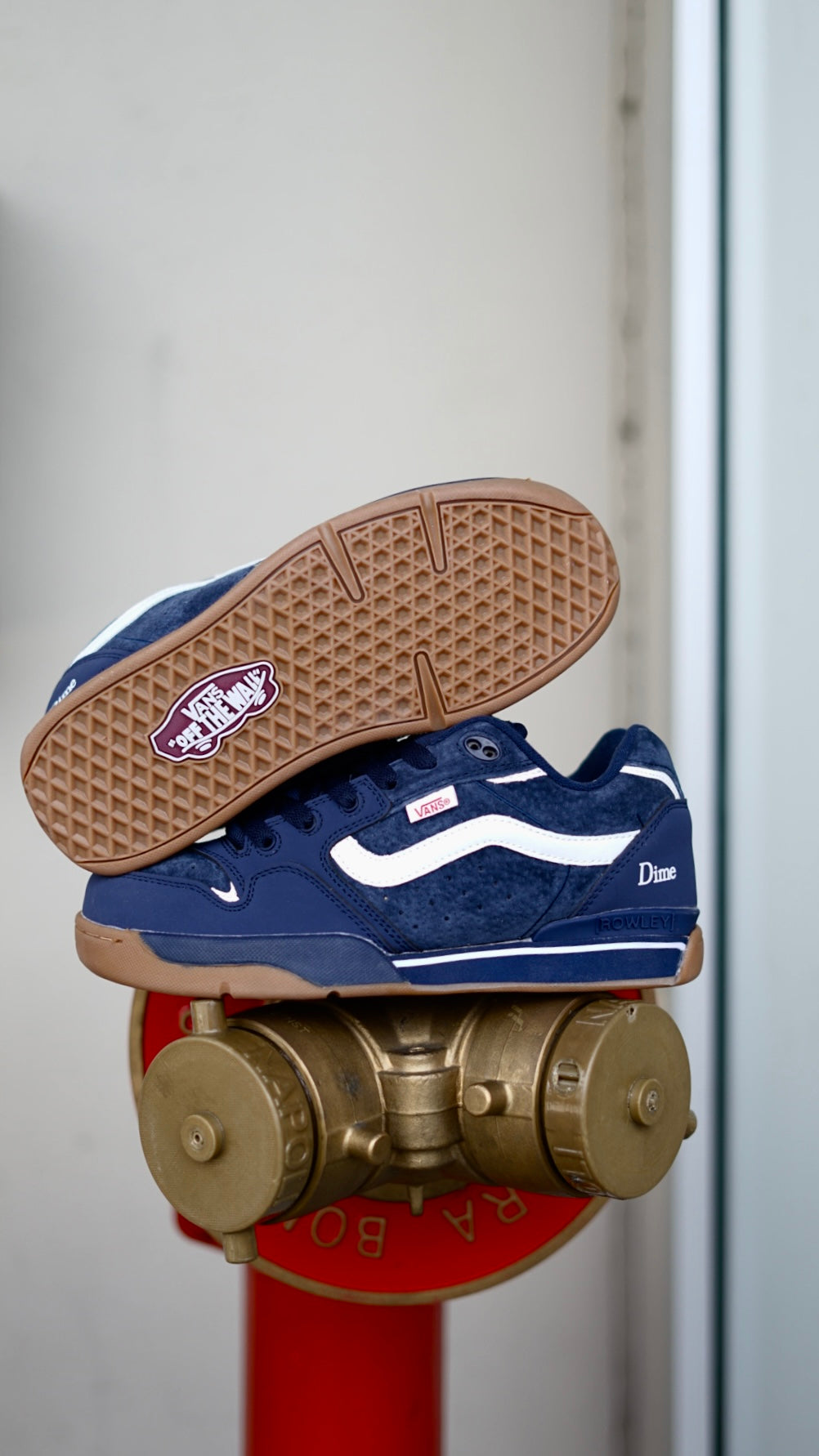 Vans Rowley XlT x Dime