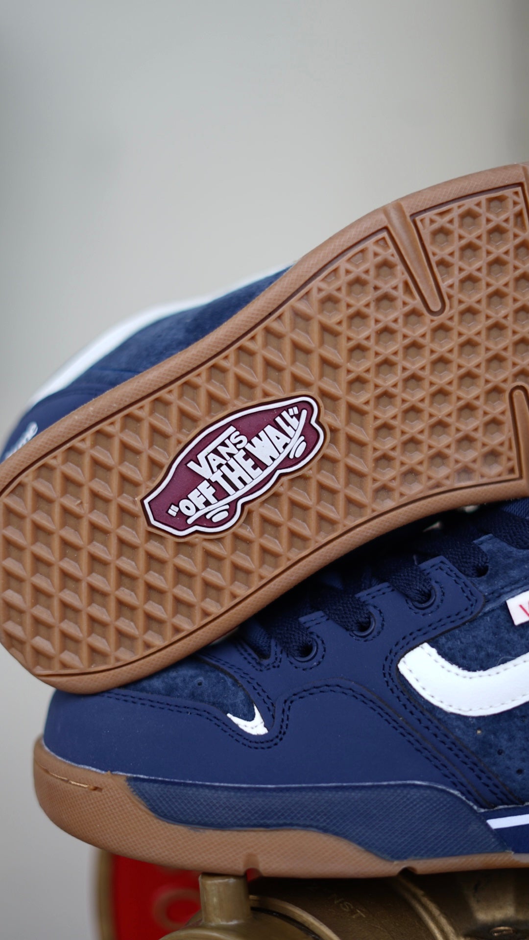 Vans Rowley XlT x Dime