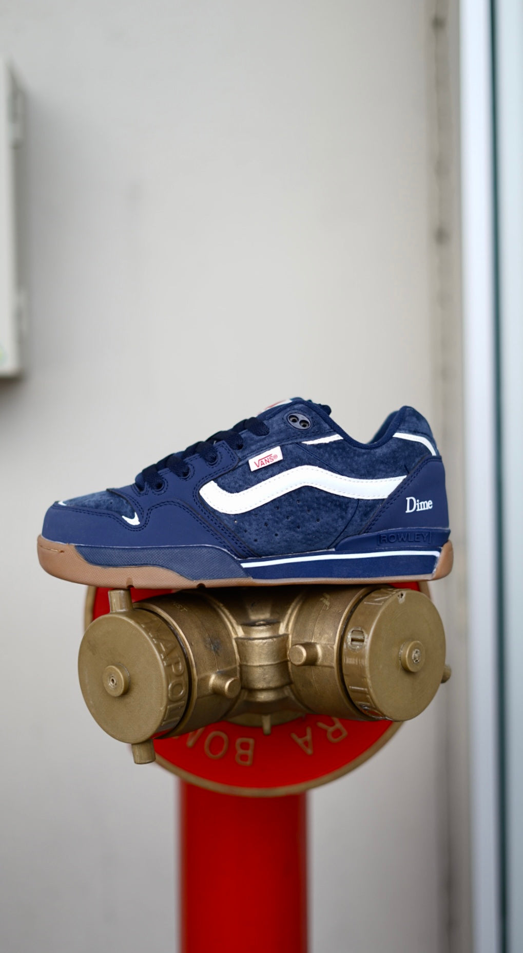 Vans Rowley XlT x Dime