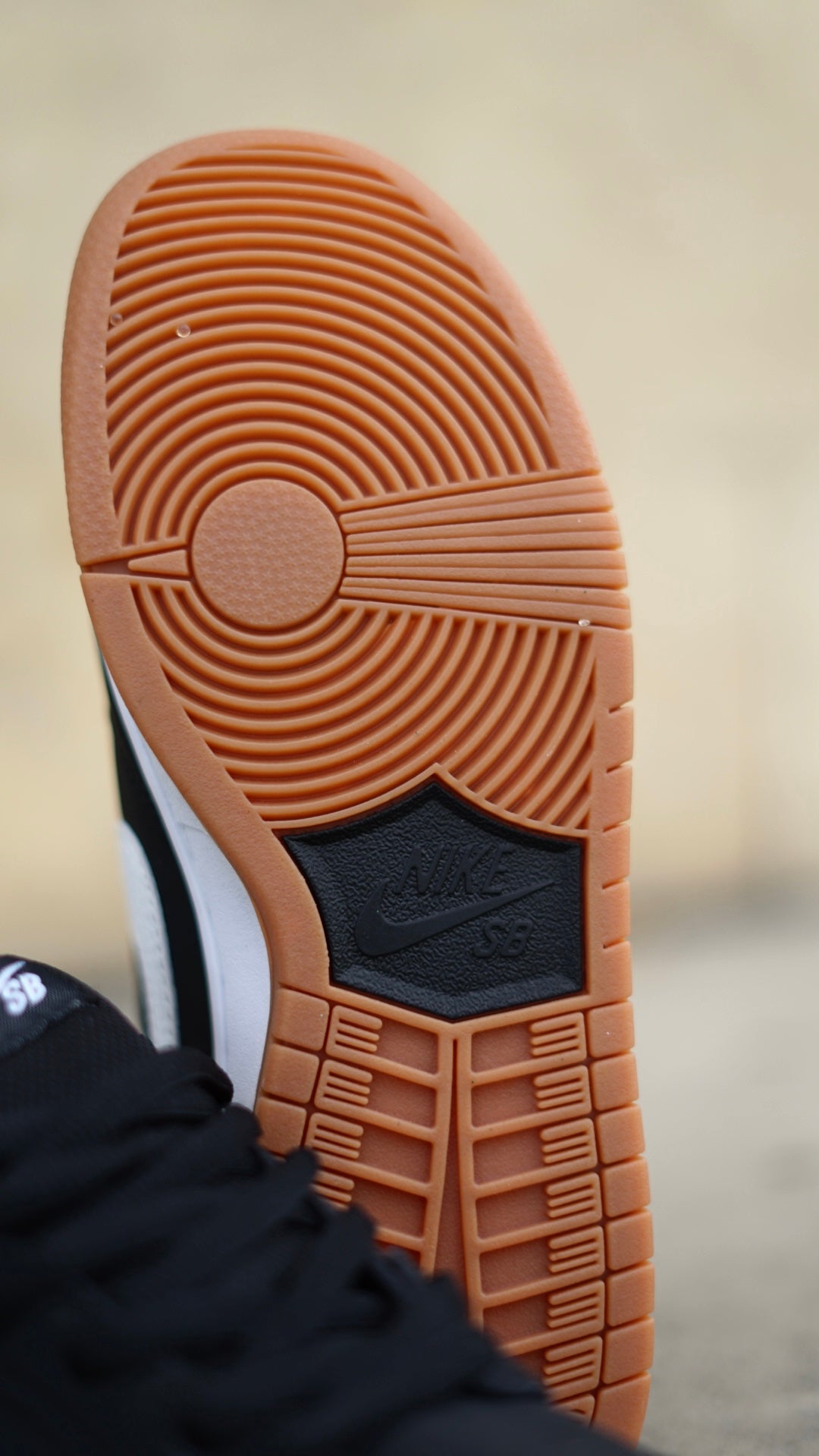 Nike SB Dunk Low Pro Black Gum