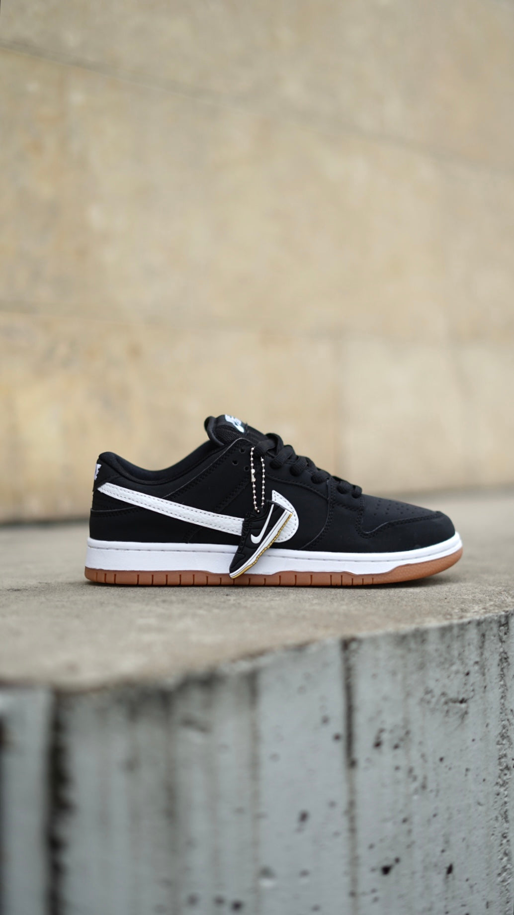 Nike SB Dunk Low Pro Black Gum