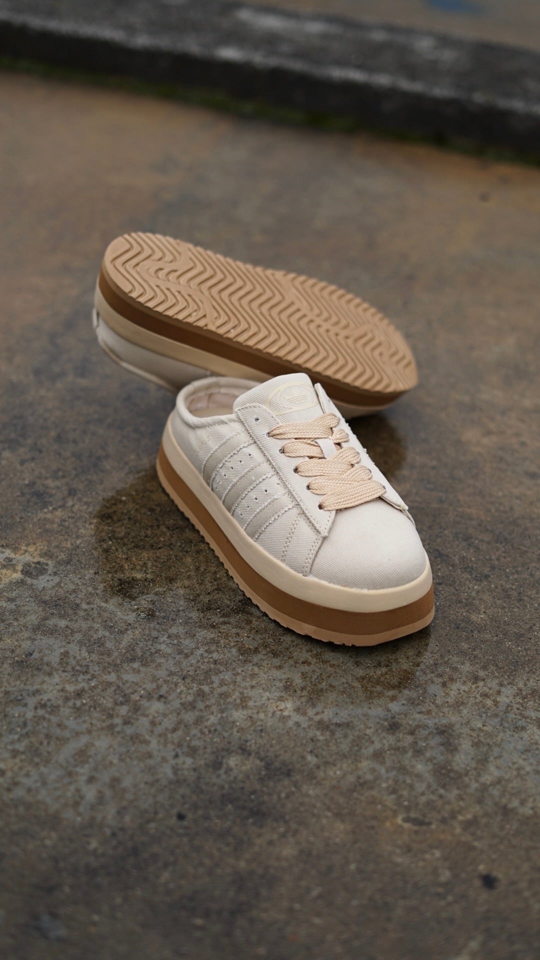 adidas campus beige