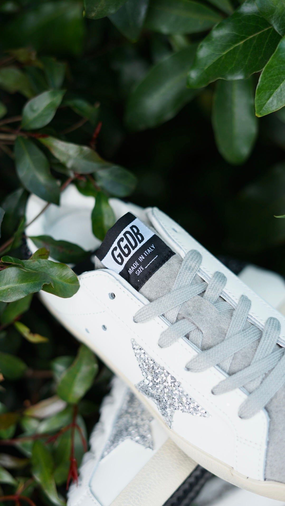 Golden goose beige gris