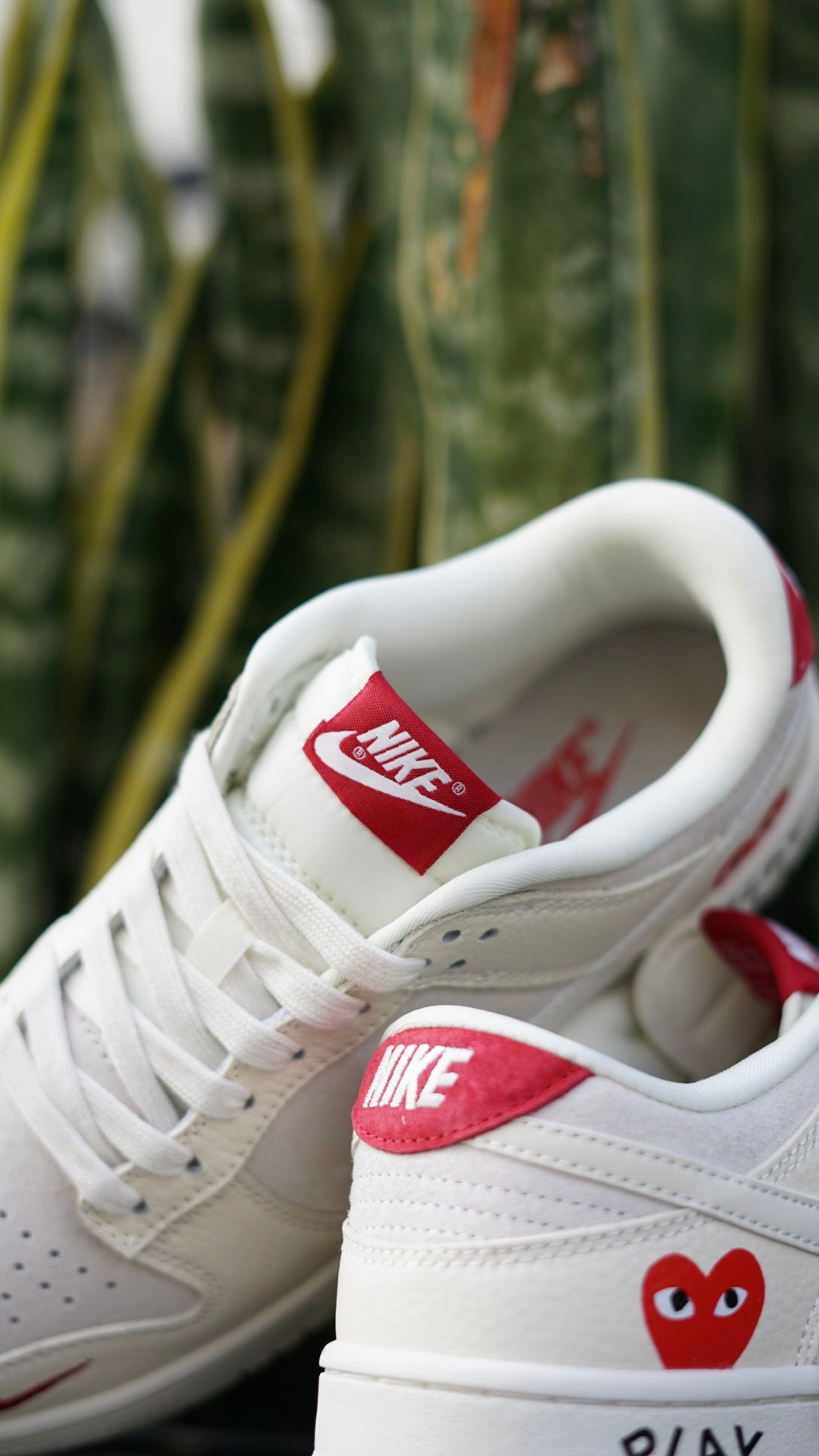 Nike sb dunk low x comme des garcons