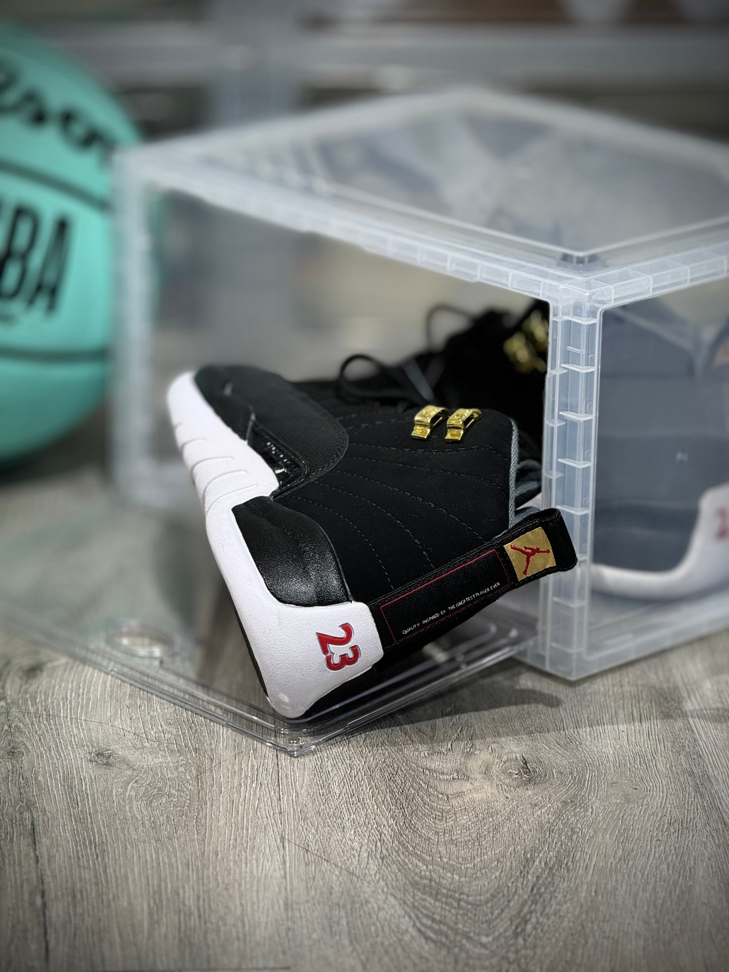 Air Jordan Retro 12 Negro