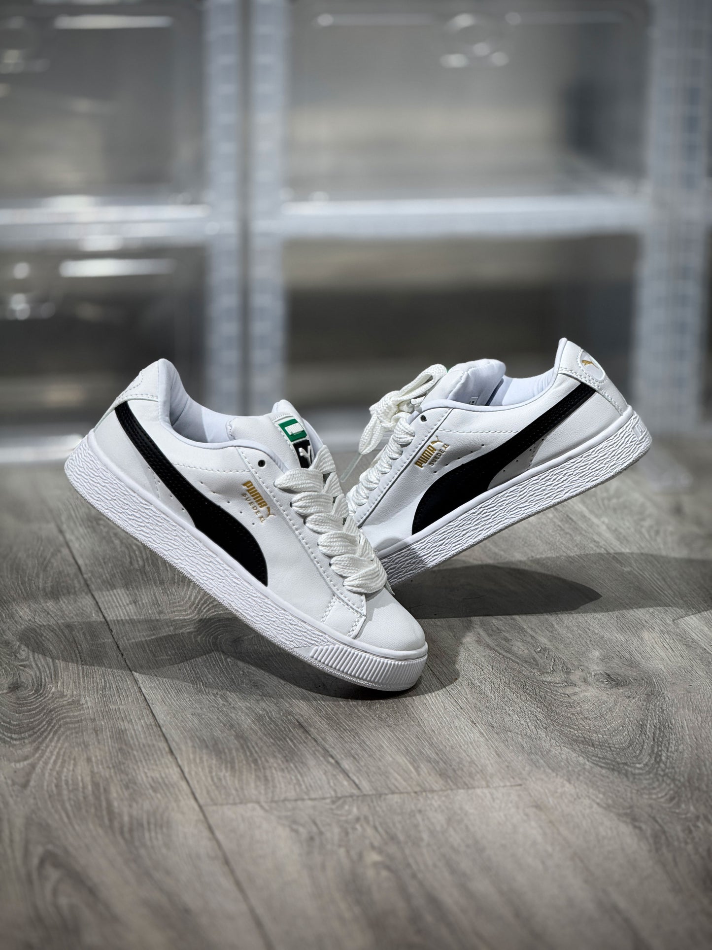 Puma