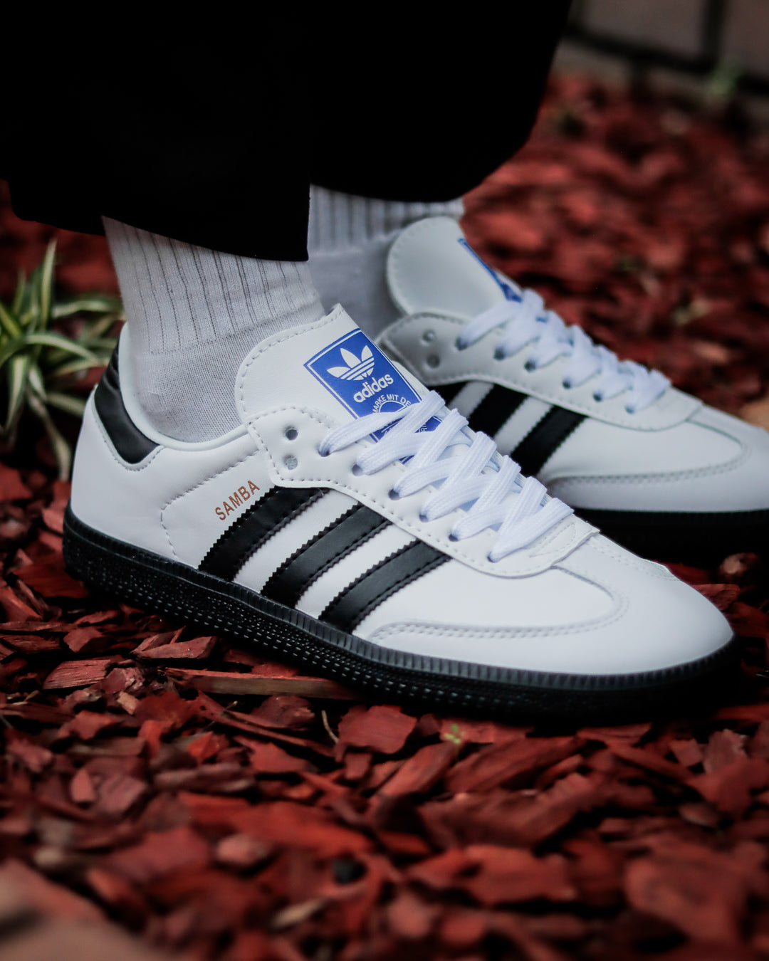 Samba OG - Blanco