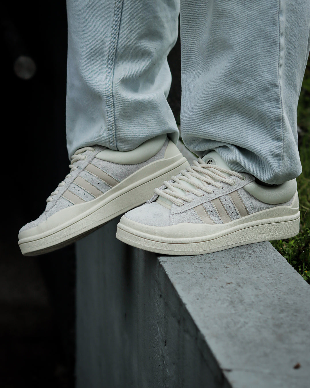 Campus Bad Bunny Cream