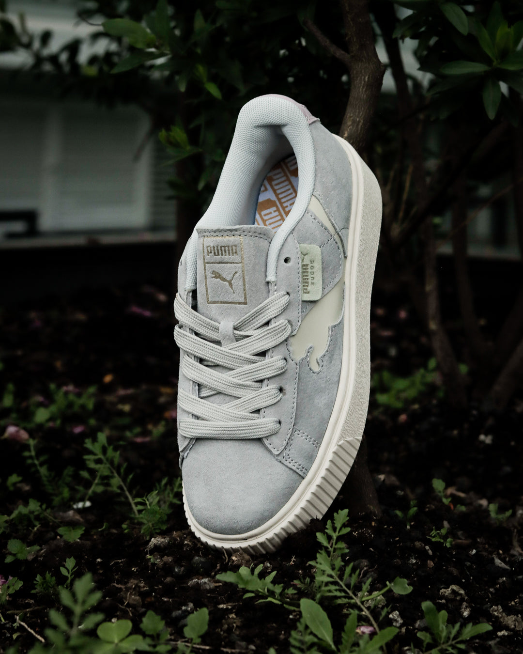 Puma Suede Lila
