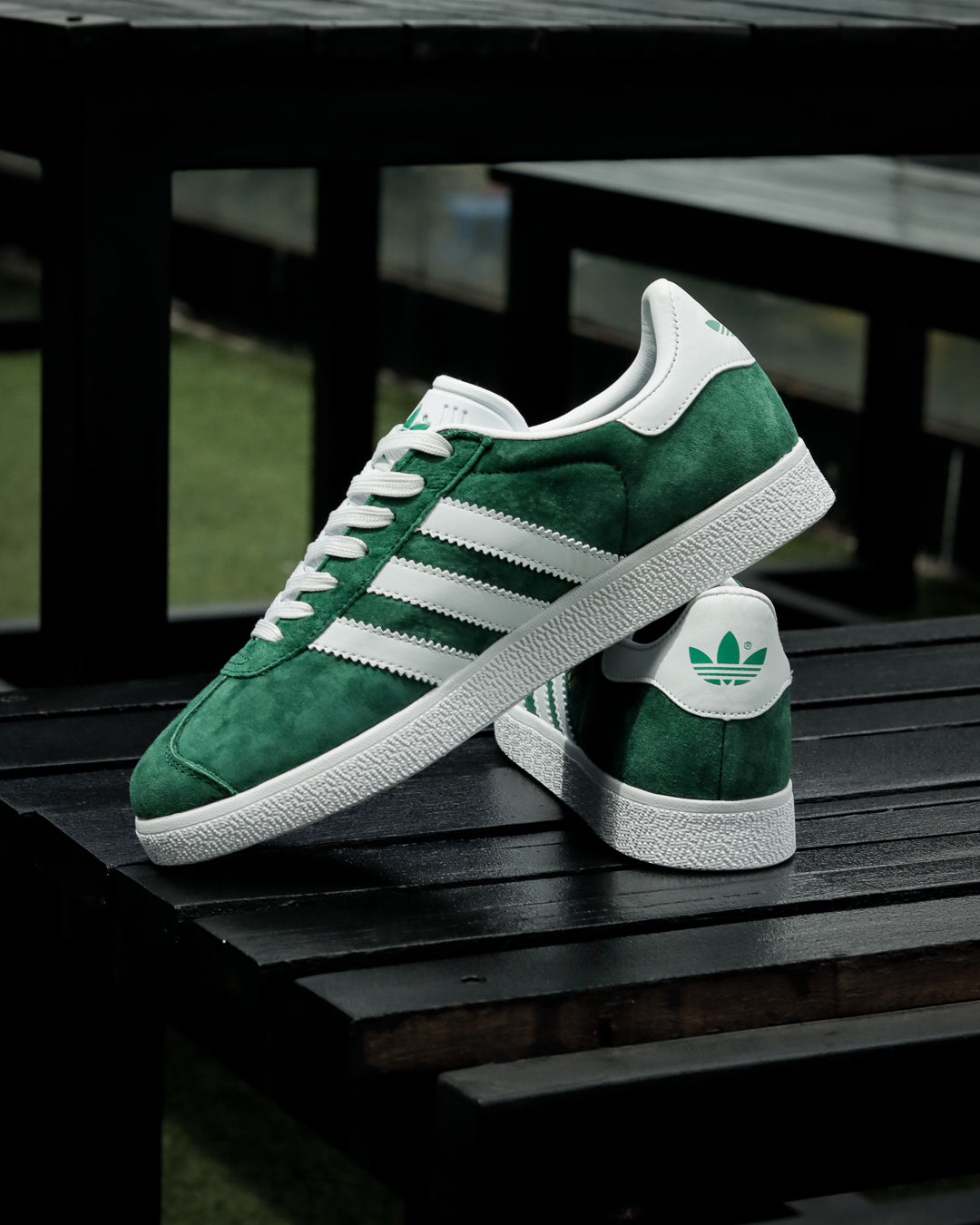 Gazelle Verde