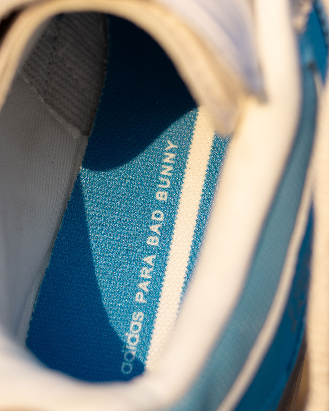 Gazelle Bad Bunny Azul San Juan