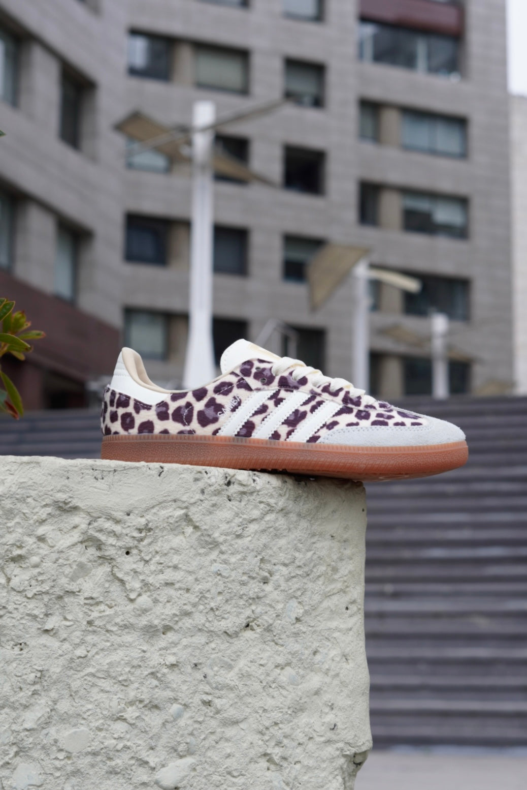 Samba Leopardo
