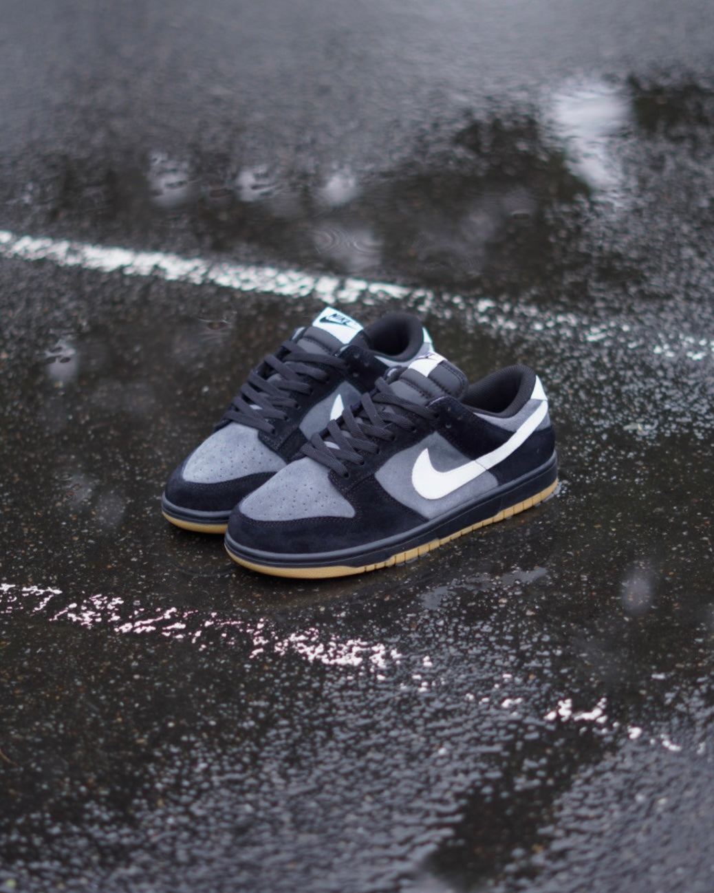 Sb Dunk Low SE "Black Grey Gum"