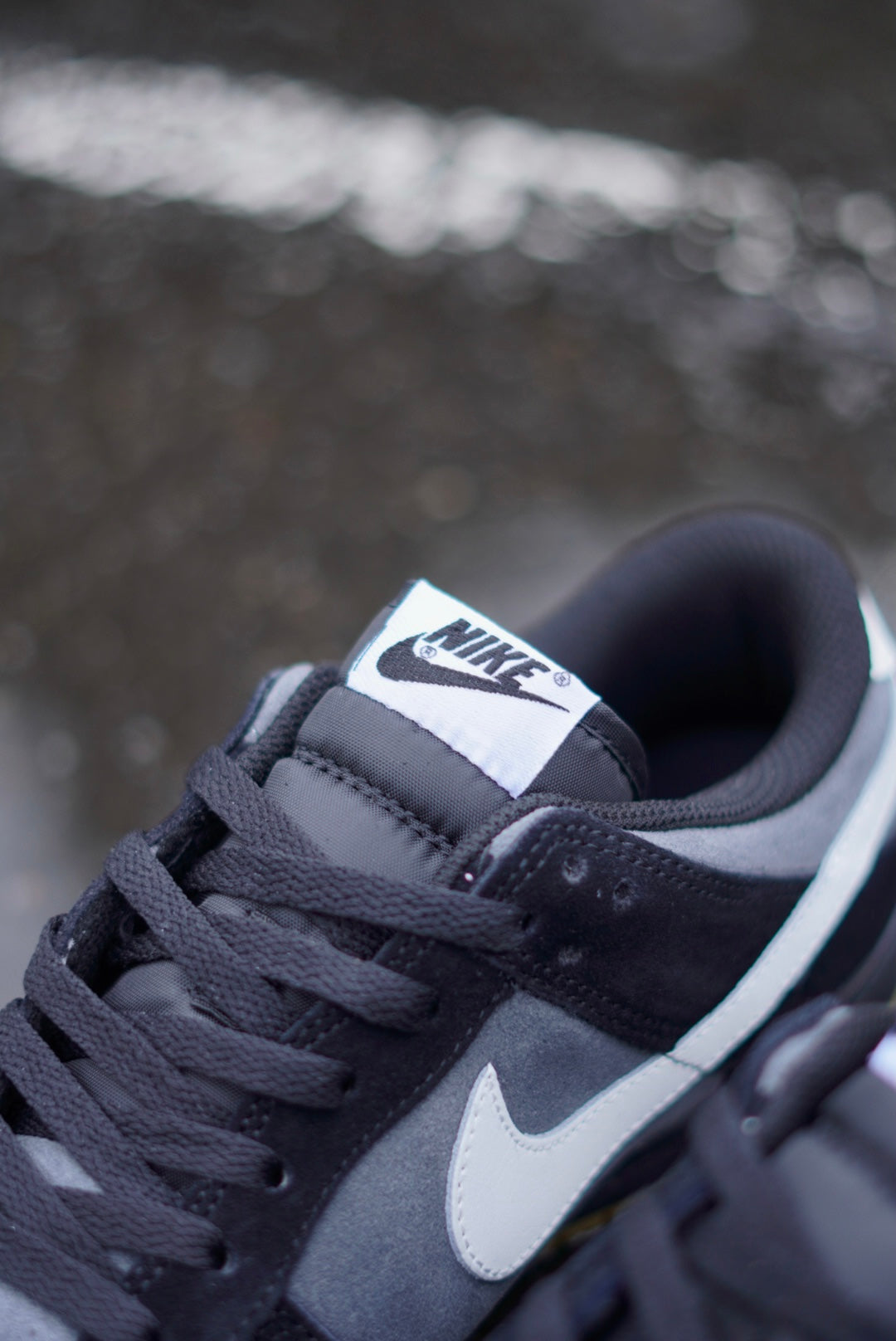 Sb Dunk Low SE "Black Grey Gum"