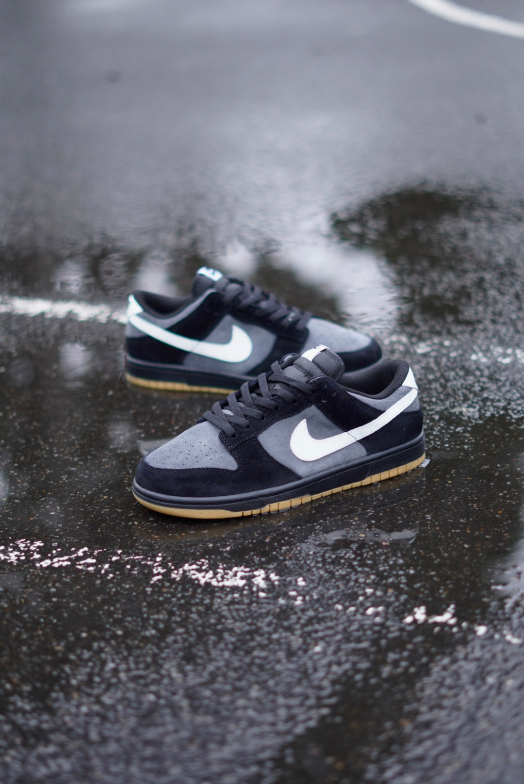 Sb Dunk Low SE "Black Grey Gum"