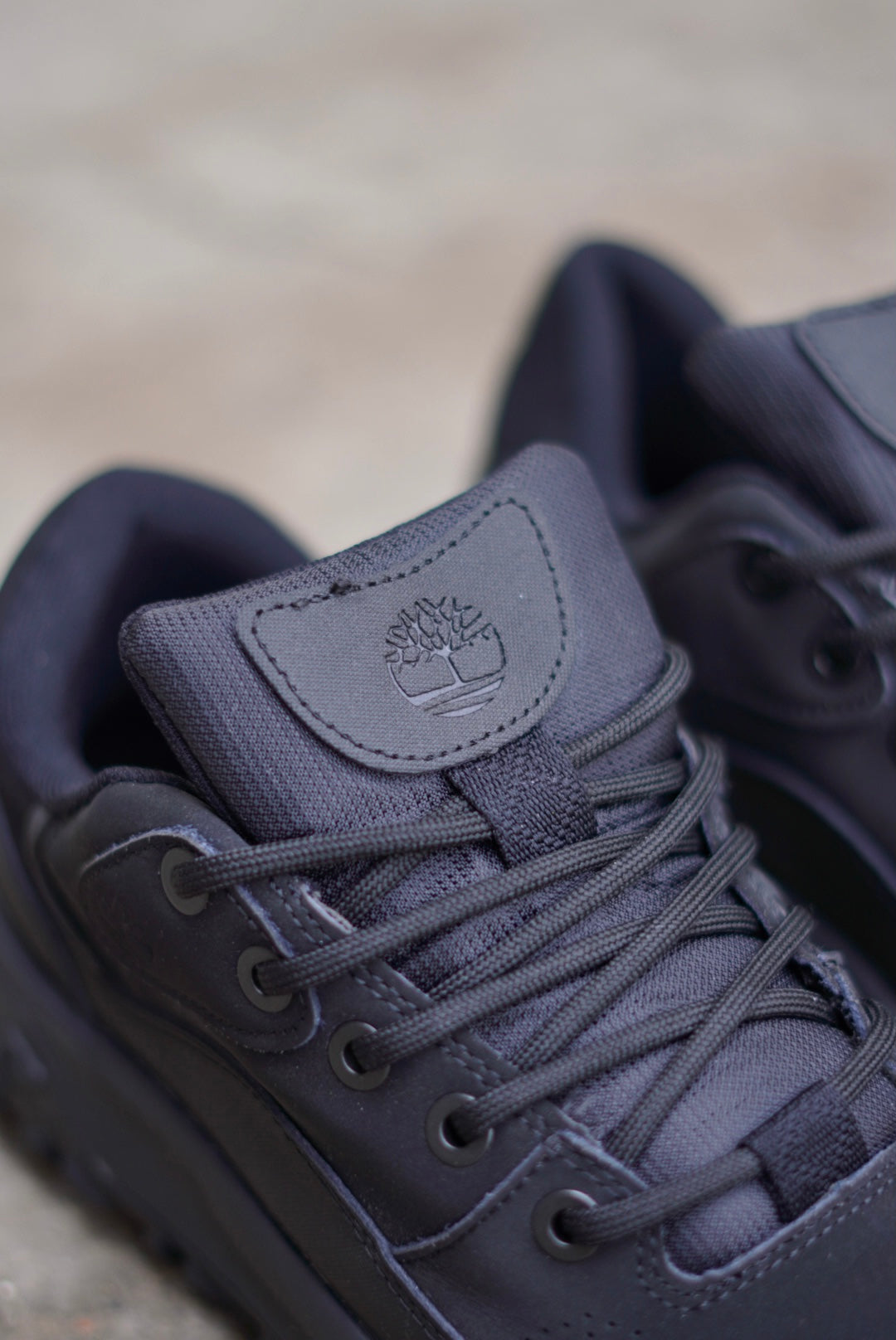 Timberland Negra