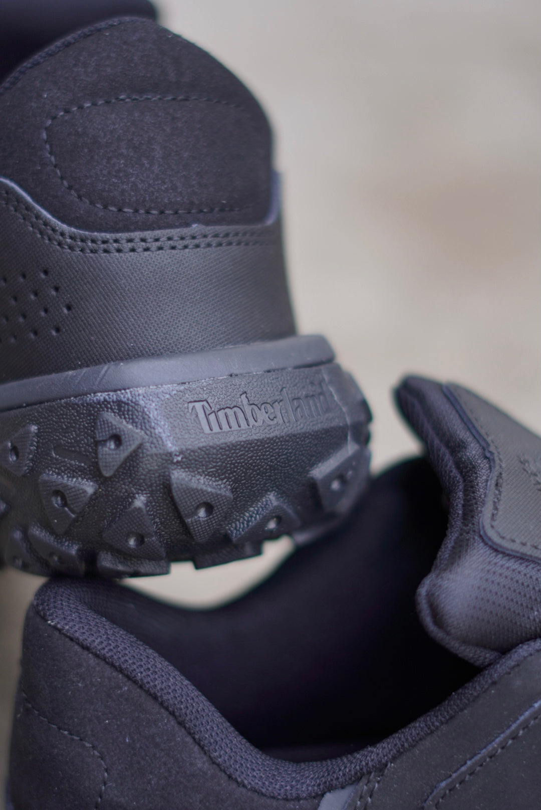 Timberland Negra