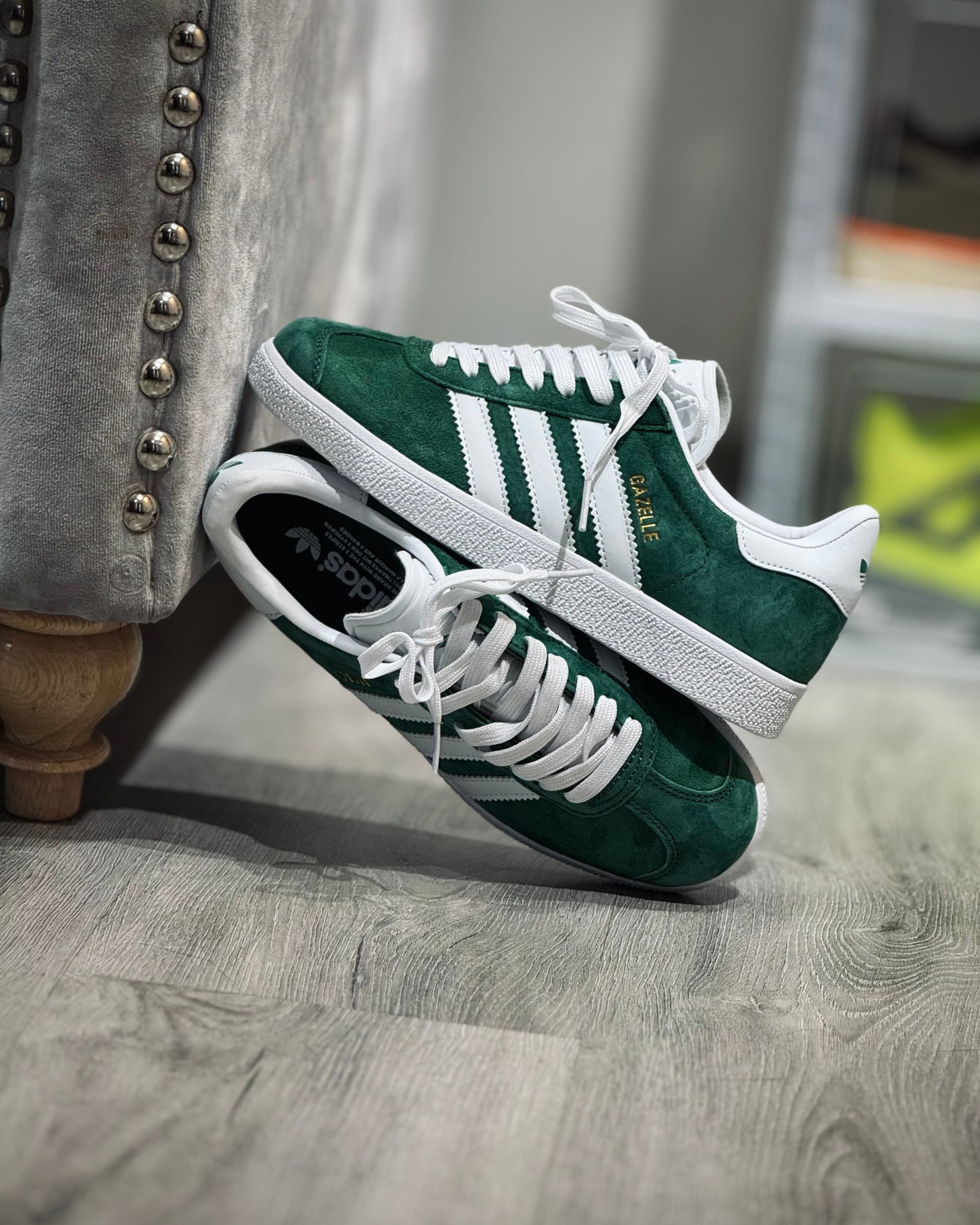 Gazelle Verde