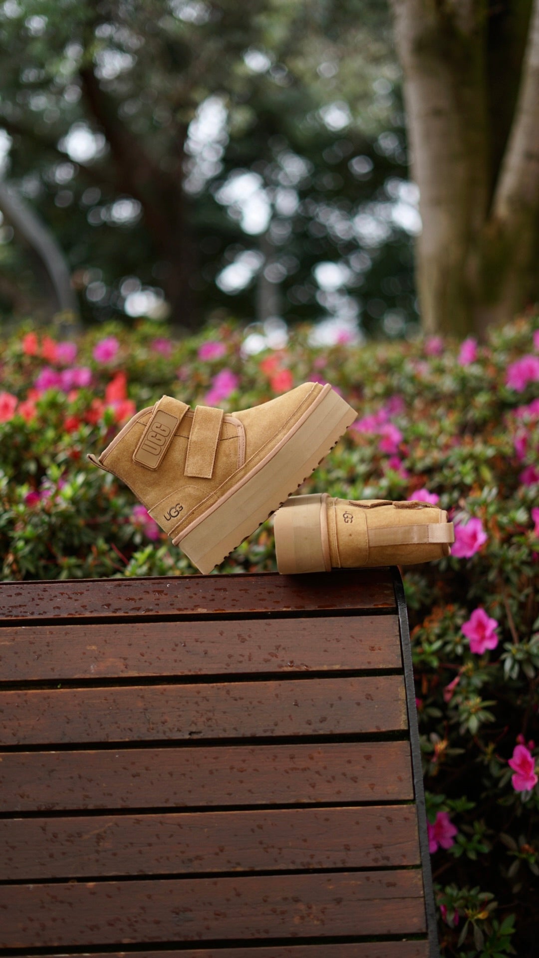Ugg Bota