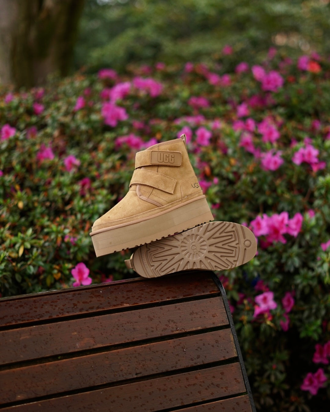 Ugg Bota