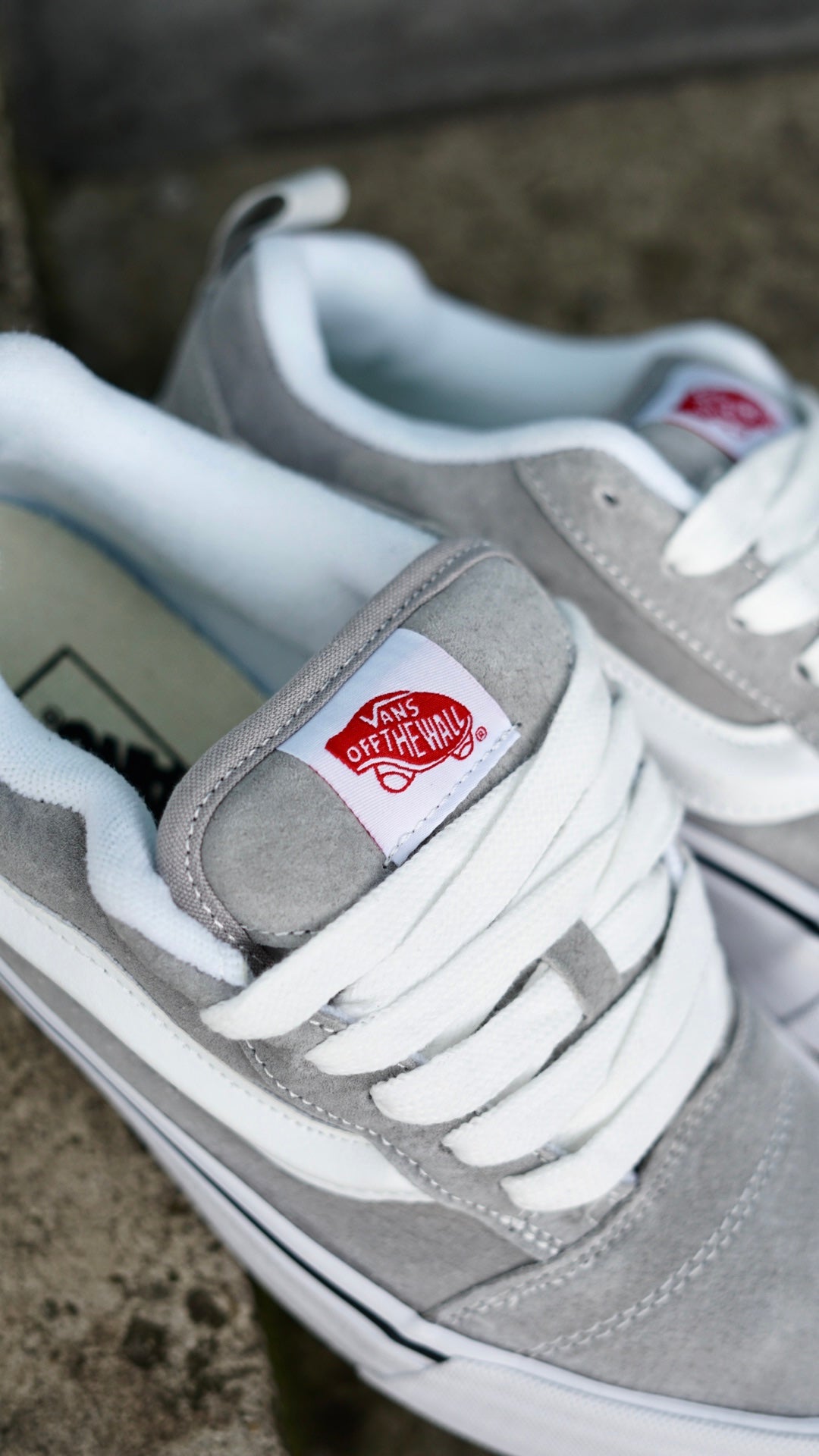 Vans Gris