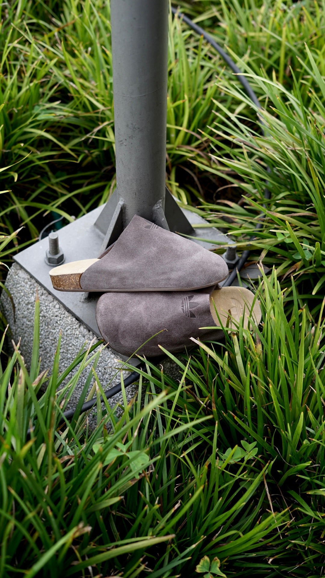 Adidas mule cafe