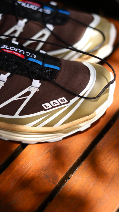 Salomon xt 6 cafe