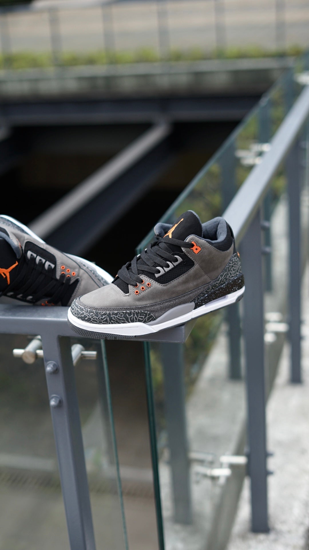 Jordan Retro 3 FEAR