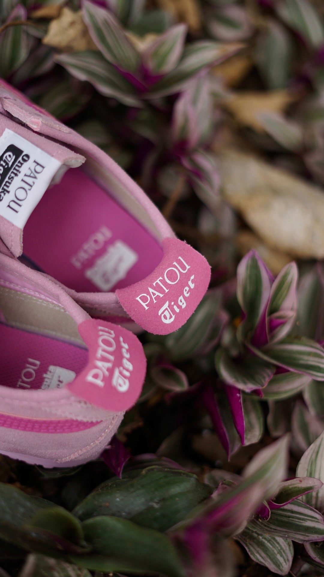 Asics tiger rosa