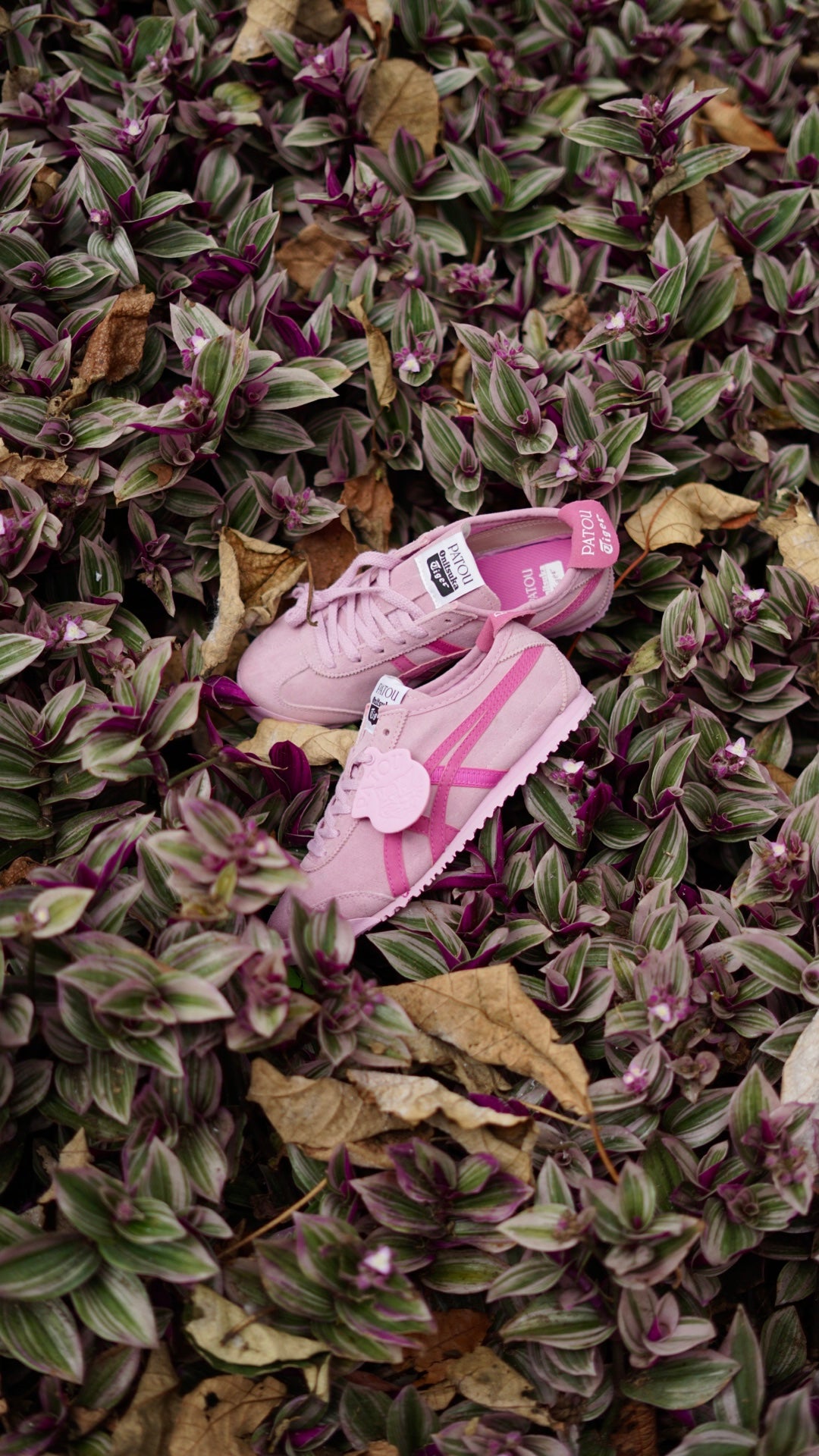 Asics tiger rosa
