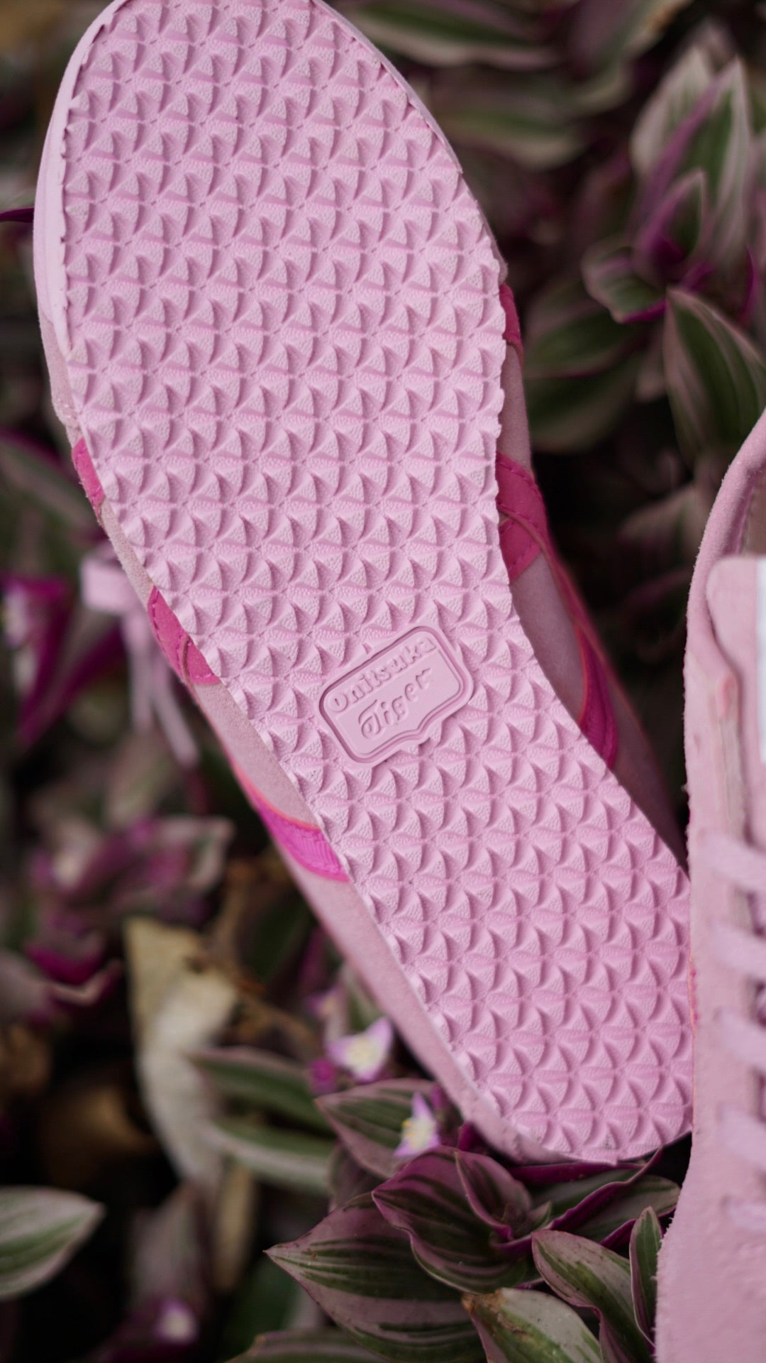 Asics tiger rosa